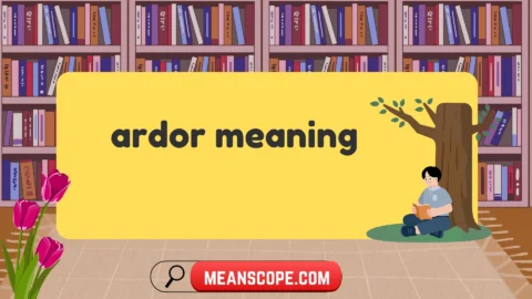 ardor meaning
