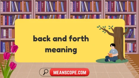 back and forth meaning