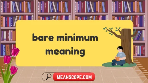 bare minimum meaning