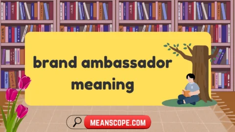 brand ambassador meaning