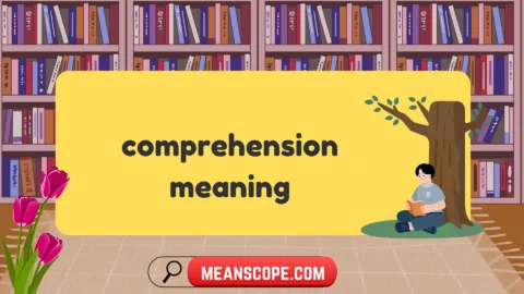 comprehension meaning