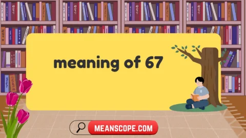 meaning of 67