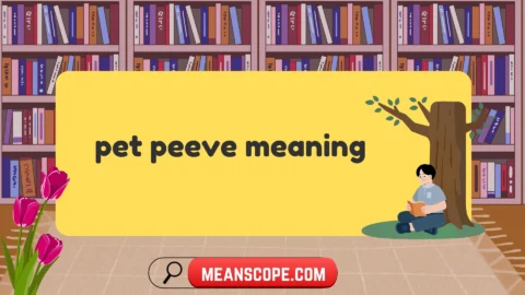 pet peeve meaning