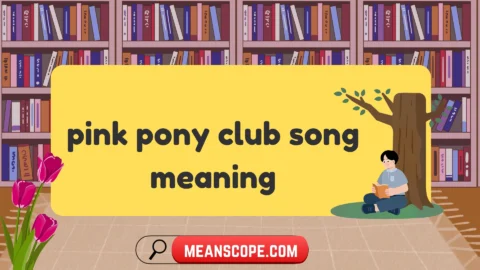 pink pony club song meaning