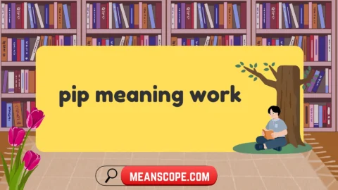 pip meaning work
