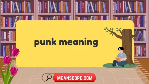punk meaning