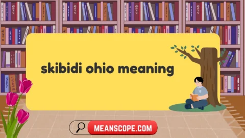 skibidi ohio meaning