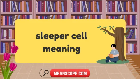 sleeper cell meaning