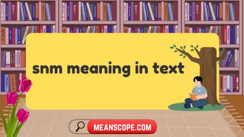 snm meaning in text