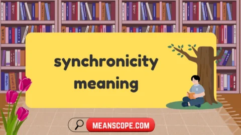 synchronicity meaning