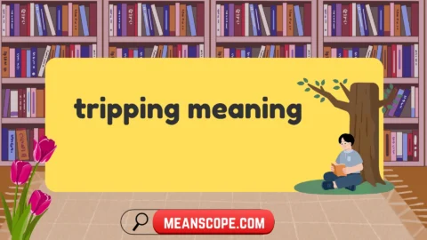 tripping meaning