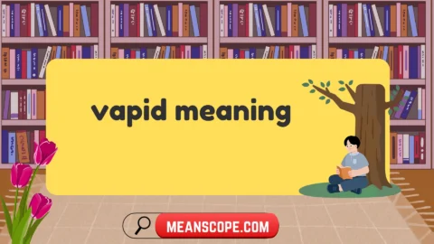 vapid meaning