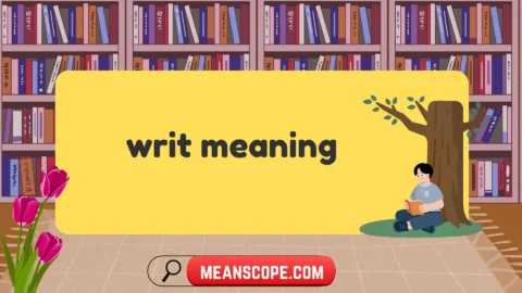 writ meaning