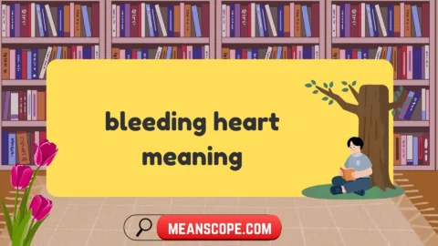 bleeding heart meaning