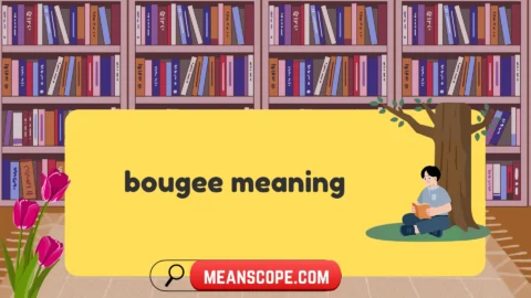 bougee meaning
