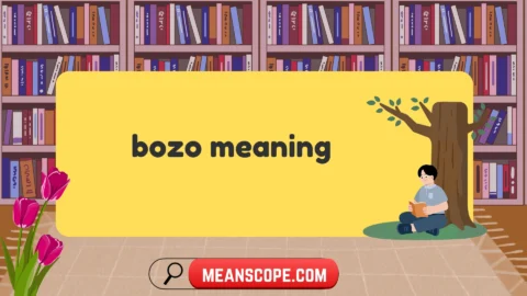 bozo meaning