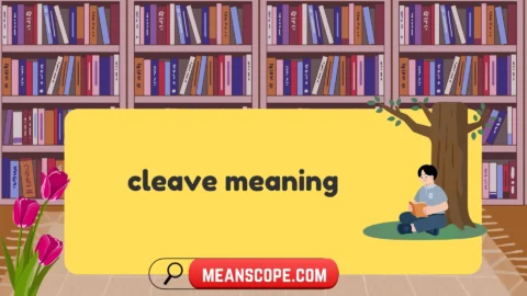 cleave meaning