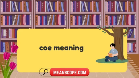 coe meaning