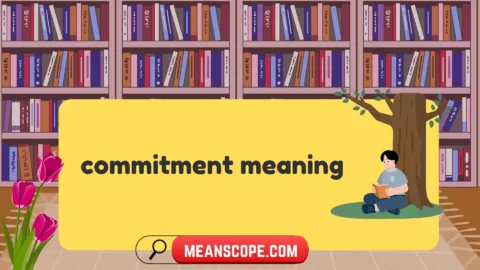 commitment meaning
