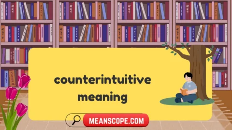 counterintuitive meaning