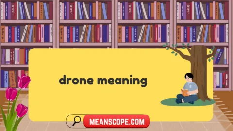drone meaning