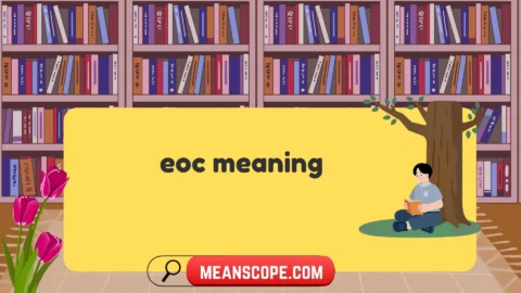 eoc meaning