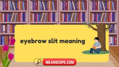 eyebrow slit meaning