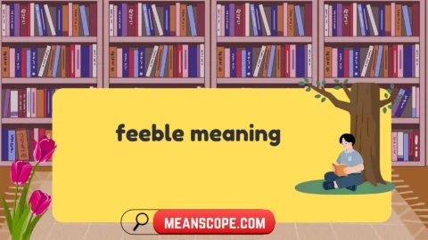 feeble meaning