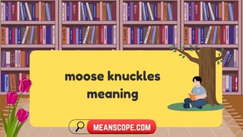 moose knuckles meaning