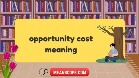 opportunity cost meaning