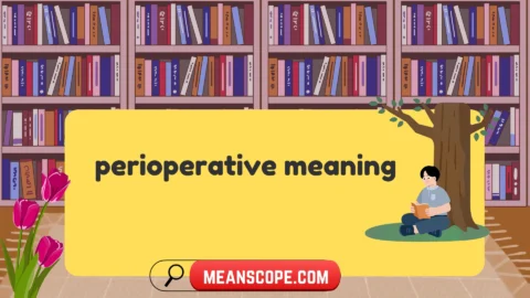 perioperative meaning