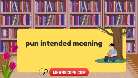 pun intended meaning
