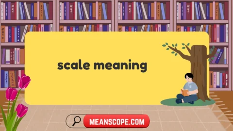 scale meaning