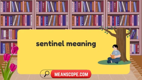 sentinel meaning