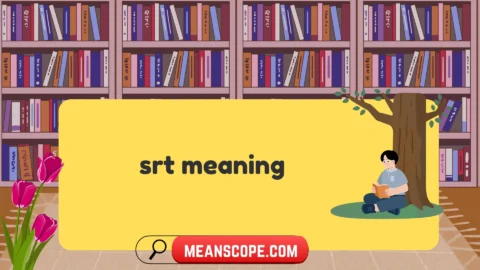 srt meaning