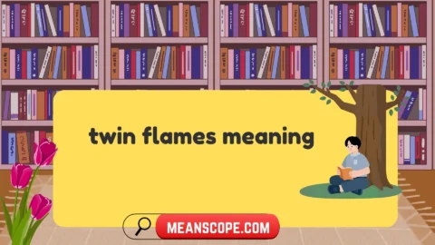 twin flames meaning