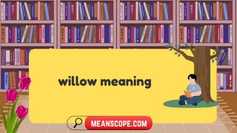willow meaning
