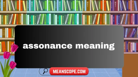 assonance meaning