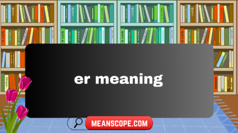 er meaning