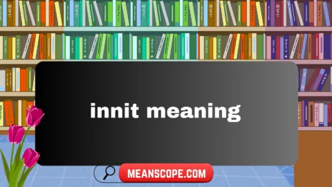 innit meaning
