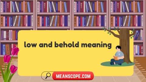 low and behold meaning