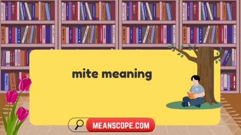 mite meaning