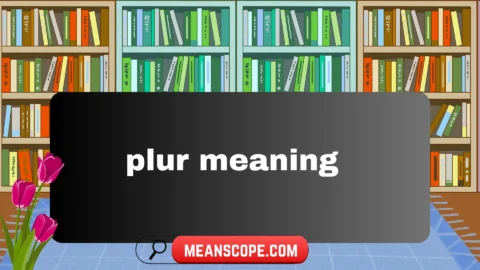 plur meaning