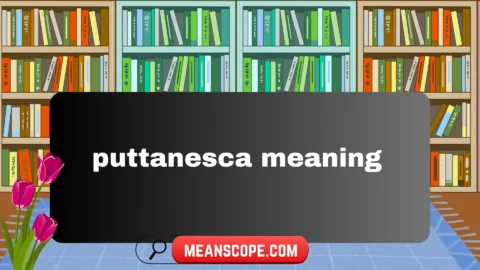 puttanesca meaning