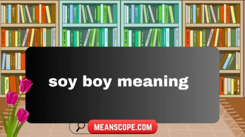 soy boy meaning