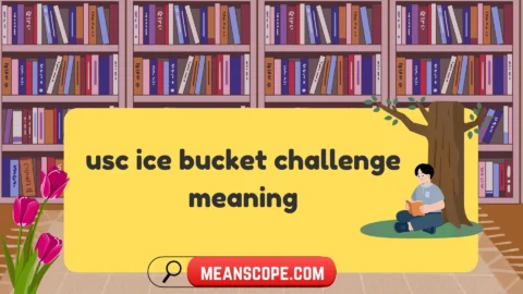 usc ice bucket challenge meaning