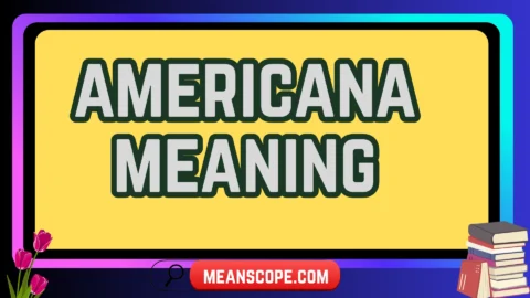 americana meaning