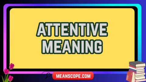 attentive meaning