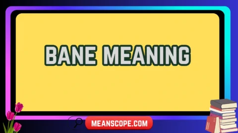 bane meaning