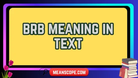 brb meaning in text